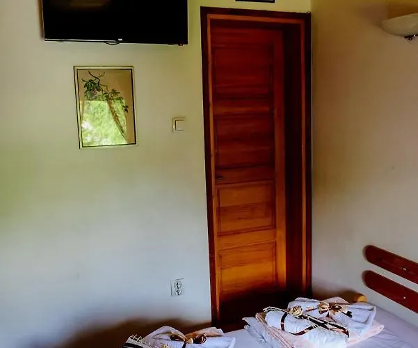 Predah, Mijaila Radovica 13a * Zlatibor